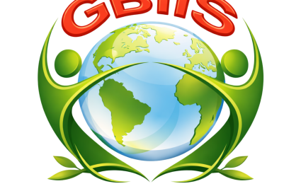 Tổng quan GBIIS